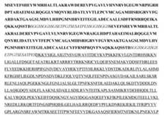 Figure imgf000186_0002