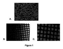 Figure 2023521400000001