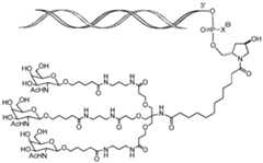 Figure imgf000248_0002
