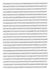 Figure 109103078-A0101-12-0086-19