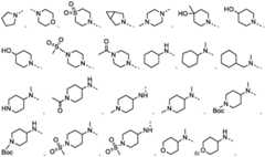 Figure FDA0003480931620000022