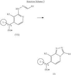 Figure US10071095-20180911-C00026