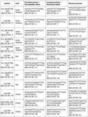 Figure imgf000061_0001