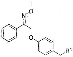 Figure imgf000006_0001