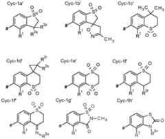 Figure imgf000095_0002