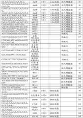 Figure BDA0003357312860005351