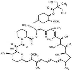 Figure imgf000002_0001
