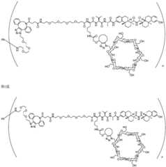 Figure BDA0002889616220001821