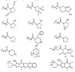 Figure imgf000004_0001