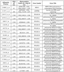 Figure imgf000121_0001