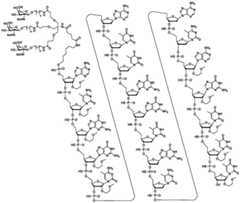 Figure GDA0003564942560000141