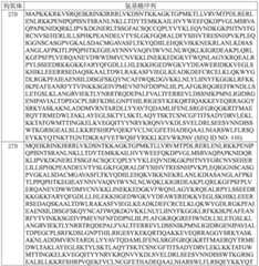 Figure BDA0003627552160002261