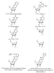 Figure imgf000039_0001