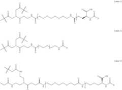 Figure US12329823-20250617-C00204