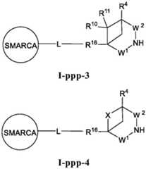 Figure BDA0003783300830001361