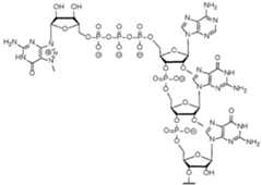Figure imgf000175_0001