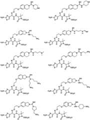 Figure FDA0003806534530000081