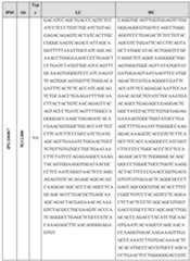 Figure imgf000037_0001