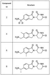 Figure imgf000010_0001