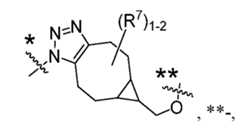 Figure imgf000107_0007