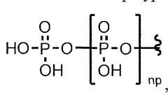 Figure imgf000081_0002