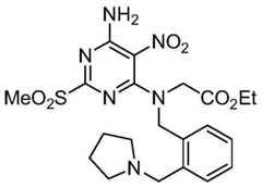 Figure BDA0000392638820001573