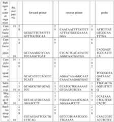 Figure imgf000025_0001