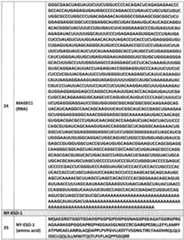 Figure imgf000046_0001