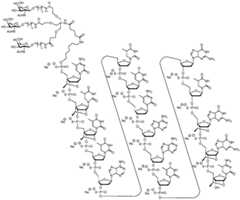 Figure BDA0002976854330000451