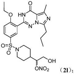 Figure BDA0003088137000000481