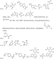 Figure imgf000018_0001