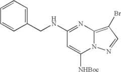 Figure US08580782-20131112-C02431