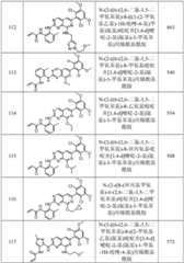 Figure GPA0000263212130001561