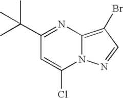 Figure US07119200-20061010-C00586