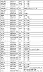 Figure BDA0002159872460000101