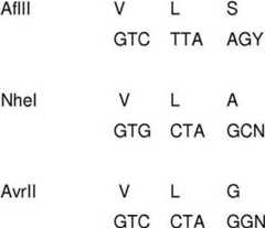 Figure GDA00002114610300941