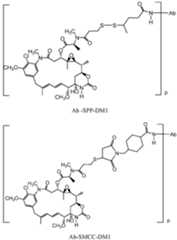 Figure imgf000105_0001