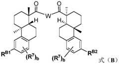 Figure FDA0002889616210000181