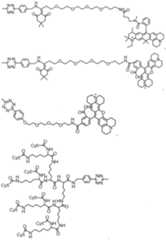 Figure imgf000203_0001