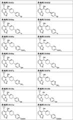 Figure RE-GDA0003303574510000361