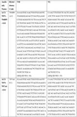 Figure imgf000090_0001