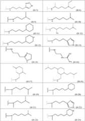 Figure imgf000019_0001