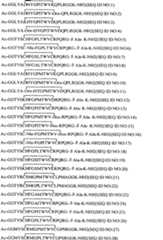 Figure A200710198751C00041