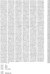 Figure IDA0002536600790000571