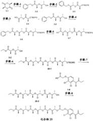 Figure BDA0002537542900001741