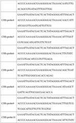 Figure BDA0003809405140000071