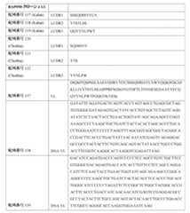 Figure 0007483732000059