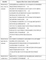 Figure imgf000091_0001