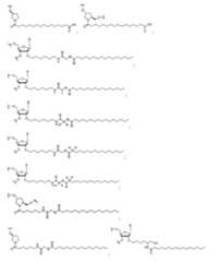 Figure 2023500681000012