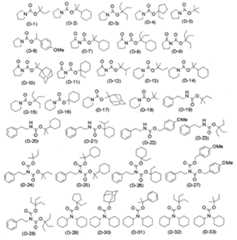 Figure 112015019095925-pct00055